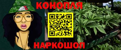 гидропоника Балашиха