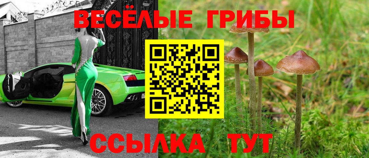 Елец  Галлюциногенные грибы Cubensis  Псилоцибиновые грибы ЛСД  Вход с VPN 