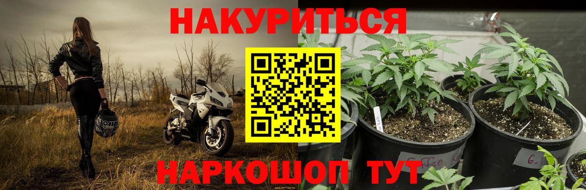 Бошки марихуана марихуана  Вход с VPN  Конопля семена  МАРИХУАНА AK-47  Елец 